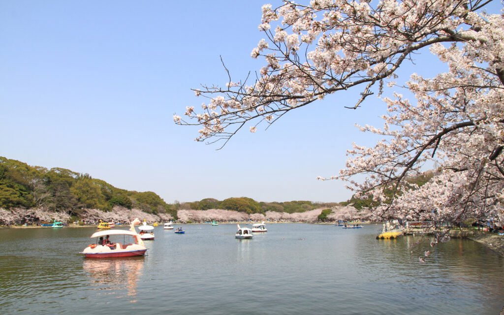 🌳 효고 현립 아카시 공원 (효고켄리츠 아카시 코엔) 이미지 8
